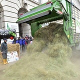 Bauern-Demo in Wien mit Mega-Milchsee