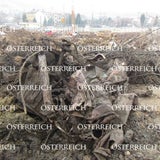 Auto unter St. Hanappi gefunden