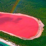 Warum ist dieser See pink?
