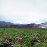 Fotos: Google auf den Galapagos Inseln