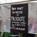 Bauern-Demo in Wien mit Mega-Milchsee