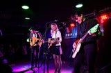 The Common Linnets: Ilse Delange in Wien