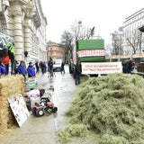 Milchbauern demonstrieren