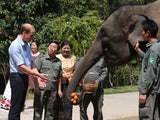 Prinz William besucht Elefanten-Schutzgebiet