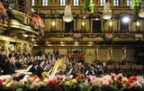 Das Neujahrskonzert der Wiener Philharmoniker 2015.