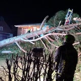 Sturm brachte Windstrom-Rekord