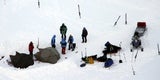 Sonnenfinsternis: Eisbär verletzt Touristen
