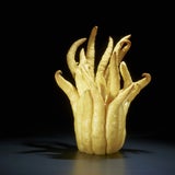Die Frucht Buddhas Hand sieht aus, als hätte sie viele Finger.