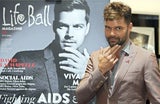 Life Ball Pressekonferenz im Hotel Imperial am 31. Mai 2014