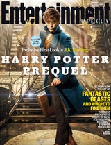 Eddie Redmayne, Harry Potter