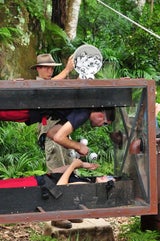 Der eflte Tag im Dschungelcamp