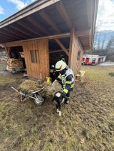 Schafe gerettet Kramsach