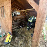 Schafe gerettet Kramsach