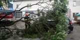 Hagel-Front verwüstet Österreich