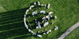 Stonehenge auf dem Mars entdeckt?