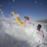 "Bruno" siegt bei Hundesurfcontest