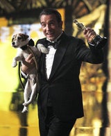Glamour pur: Die Stars bei den Oscars