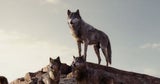 The Jungle Book: Die Bilder zum Film
