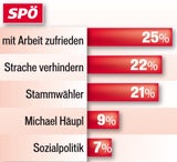 Wien 2015 Wahlmotiv SPÖ