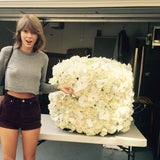 Die 10 meistgelikten Instagram-Fotos 2015