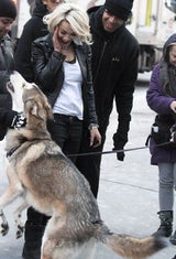 Rita Ora spielt mit Hund
