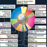 So wird unsere Steuer verteilt