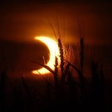 Spektakuläre Sonnenfinsternis in Asien & USA