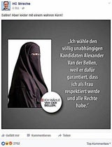 Strache mobbt Van der Bellen auf Facebook