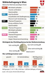 Wahl-Motive: Flüchtlinge und Strache wichtigste Themen