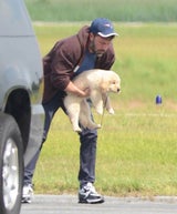 Ben Affleck: Süßes Hündchen nach Ehe-Aus