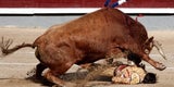 Rache des Stiers: Einäugiger Torero auf die Hörner genommen
