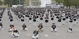 Tierschützer-Protest mit 650 toten Tieren