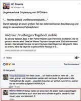 FPÖ Strache Posting
