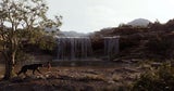 The Jungle Book: Die Bilder zum Film