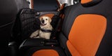 Trick macht Smart Hunde-tauglich