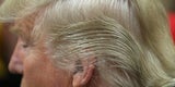 Trump Haare