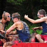 Dschungelcamp