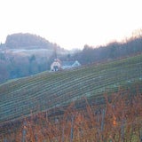 ÖSTERREICH ging "löchrige" Grenze ab