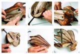 Gans-Special