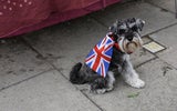 So feiern die Briten das Thronjubiläum der Queen