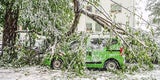 Todesopfer nach Wetter-Wahnsinn