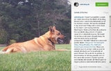 Salma Hayek trauert um ihren Hund