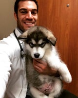 Dr. Evan Antin - Der heißeste Tierarzt der Welt