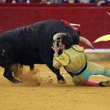 Torero auf Augenklappe getroffen
