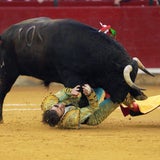 Torero auf Augenklappe getroffen