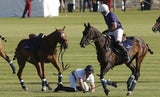 Prinz Harry fällt bei Polo Match vom Pferd