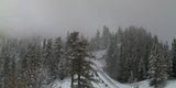 Neuschnee im Osten und Norden