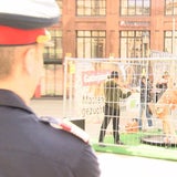 Poledance-Demo erregt Wiener Stephansplatz