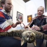 Fotos von der Flug-Katze "Orville-Copter"
