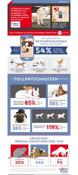 Hunde und Katzen sind "Handy-Killer"